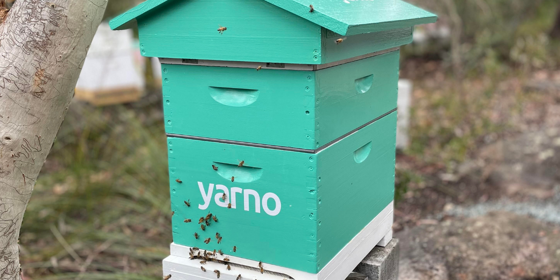 Yarno partners with Rooftop Bees