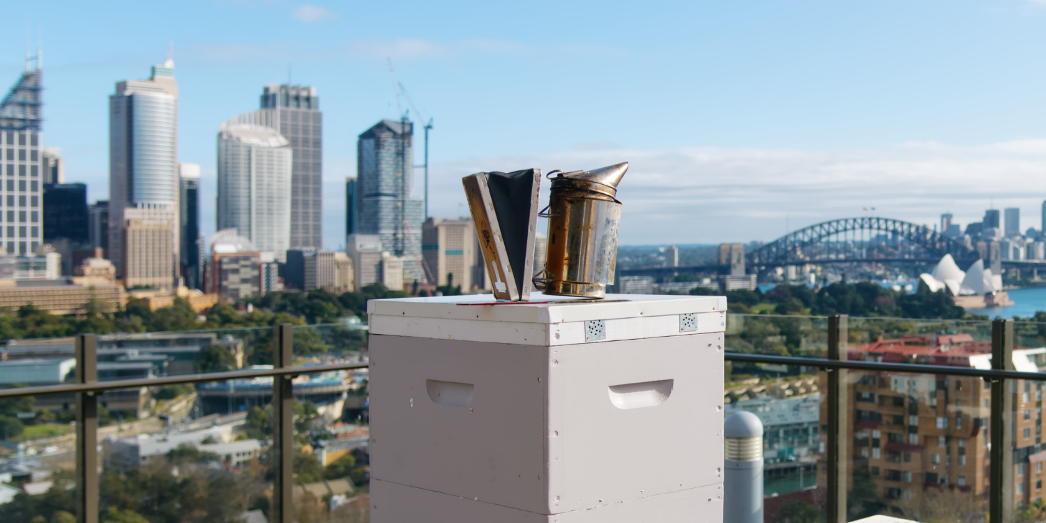 3 Ways Bees Can Help Your Organisation – Rooftop Bees