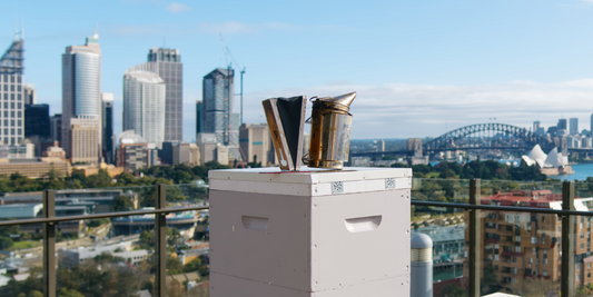 3 Ways Bees Can Help Your Organisation