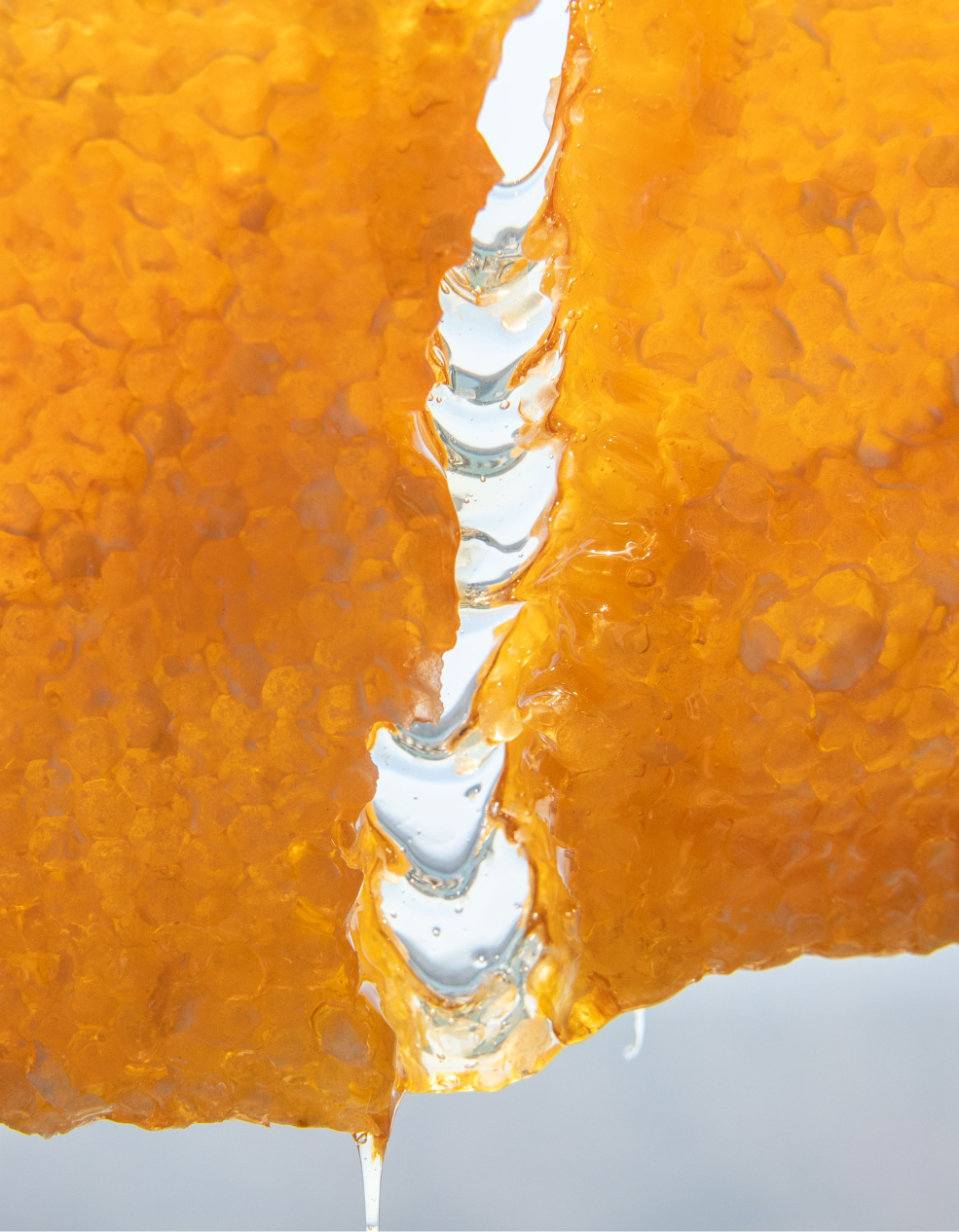 Sydney Raw Honey