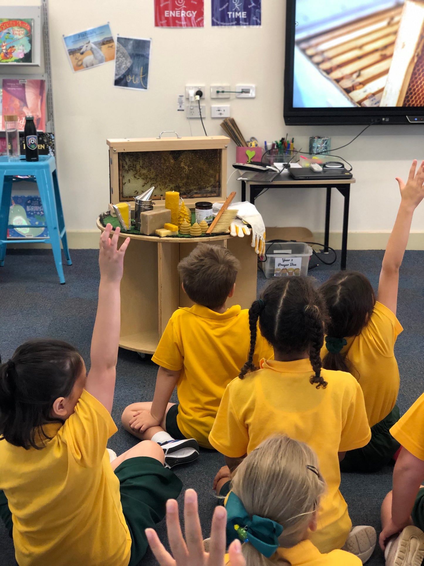 Primary and Secondary School Incursion