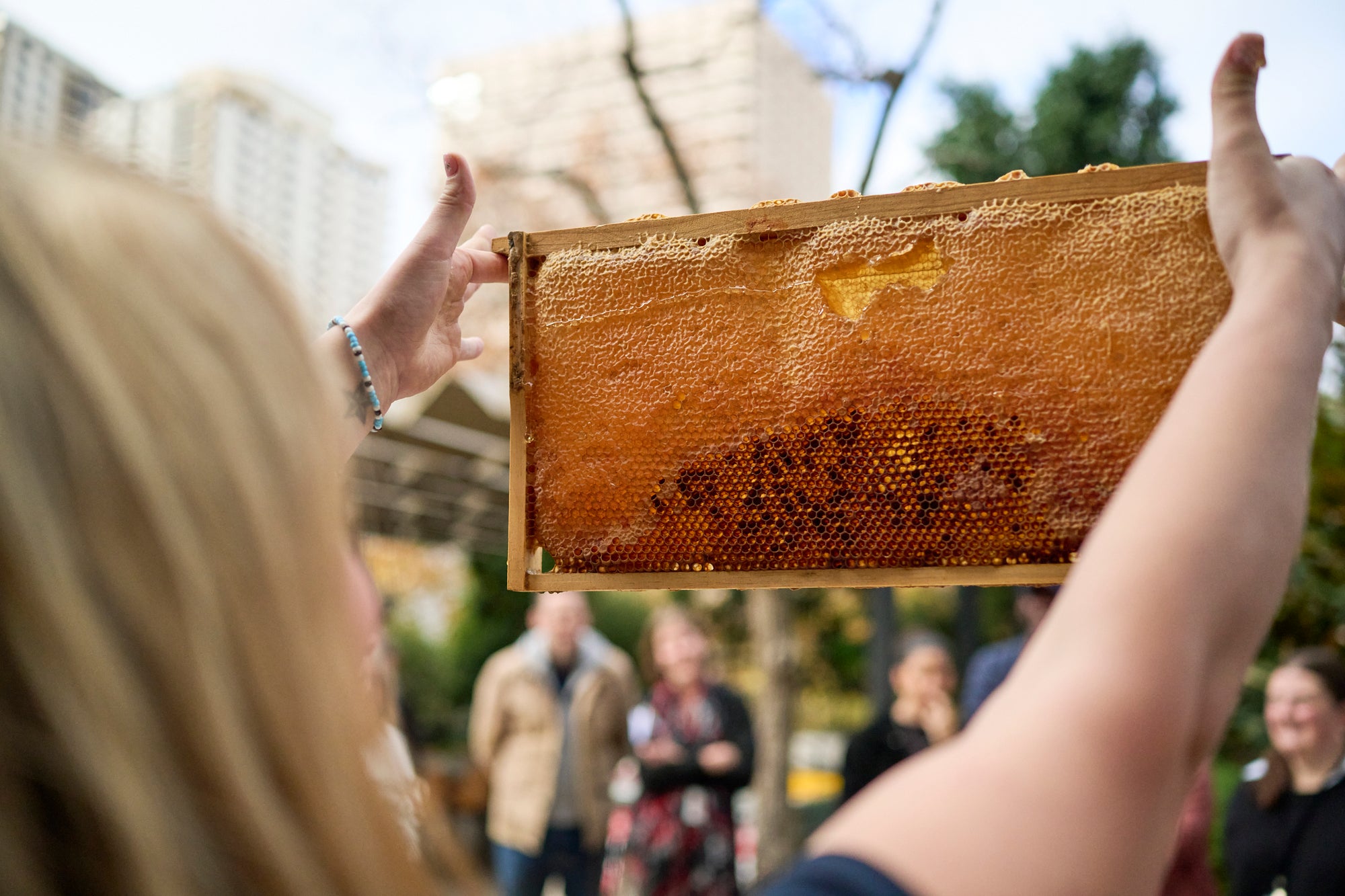 Rooftop Bees ESG Dashboard