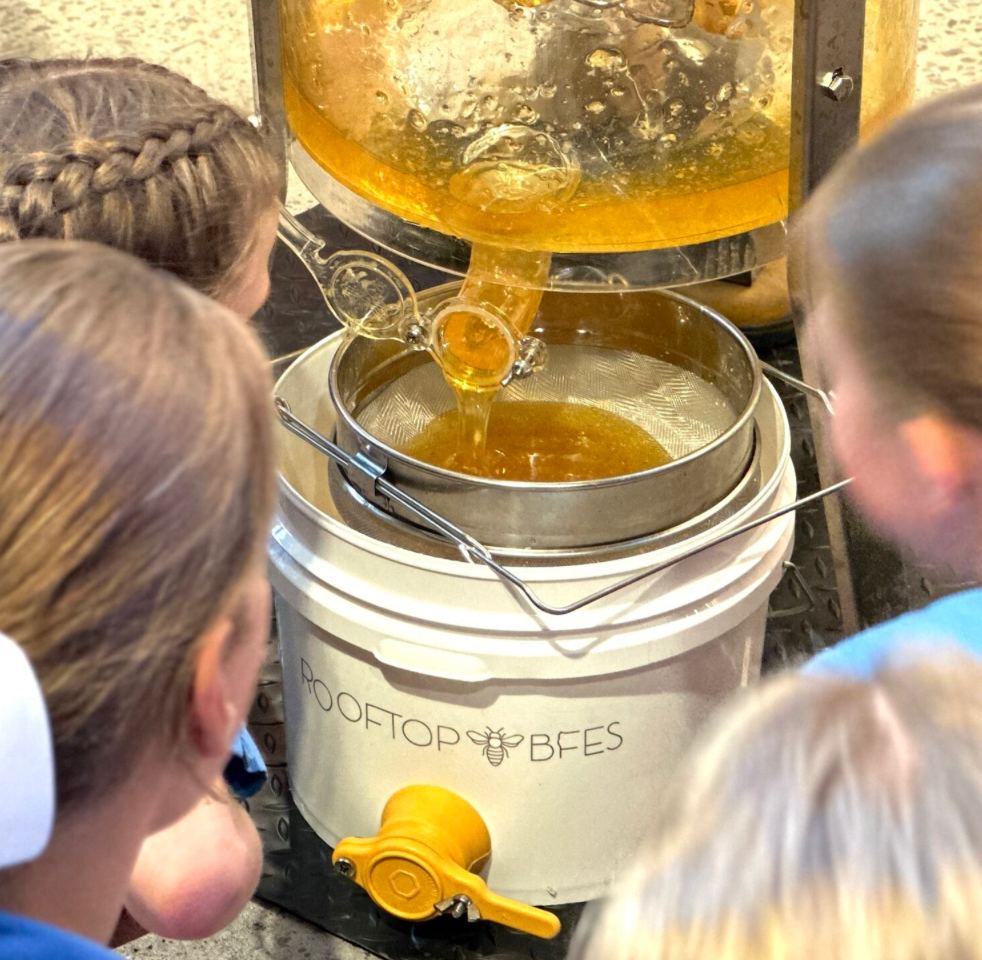 Primary and Secondary School Incursion