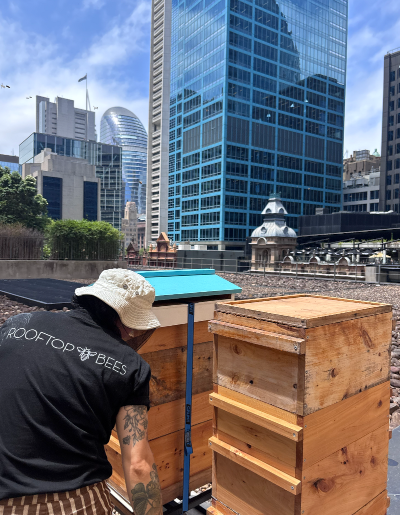 Beekeeper Inspection