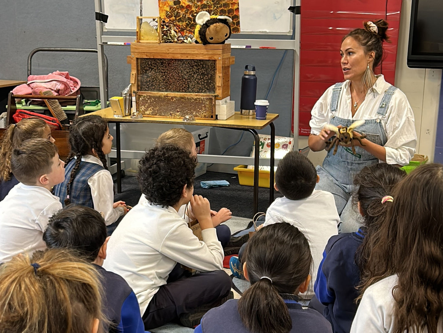 Primary and Secondary School Incursion
