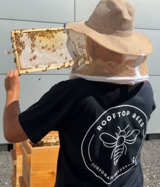 Rooftop Bees T-Shirt