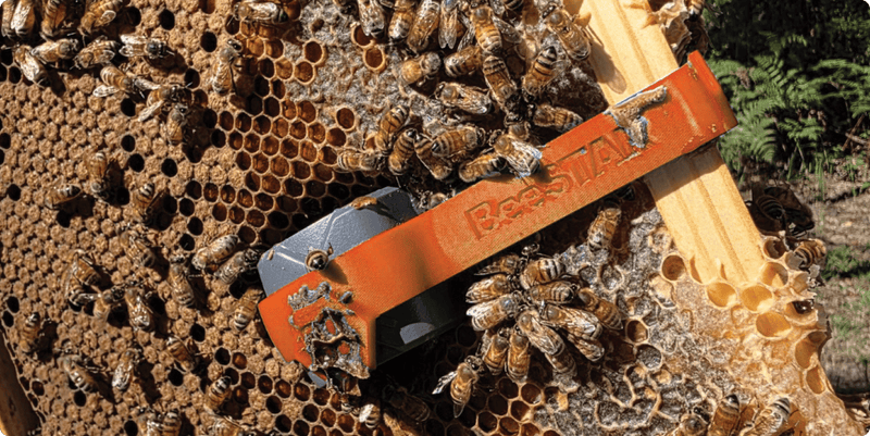 Hive Sensor